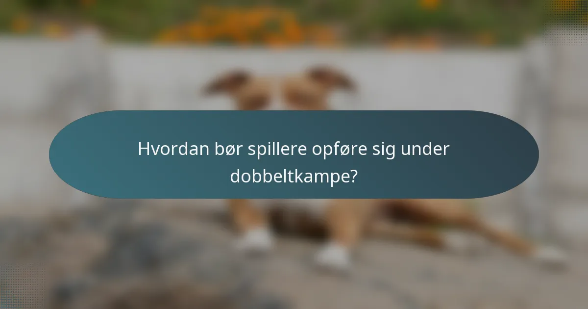 Hvordan bør spillere opføre sig under dobbeltkampe?